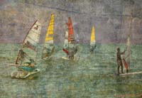 Windsurf Regatta