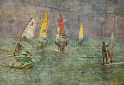 Windsurf Regatta